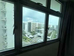 Blk 331B Anchorvale Harvest (Sengkang), HDB 4 Rooms #570637441